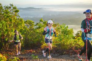 BIB: 248
                            <button type="button" onclick="openModal(21874699)" class="btn btn-primary btn-sm float-right btn-popup" data-toggle="modal" data-target=".modal-high-quality">
                        <i class="fas fa-shopping-cart"></i> Add to Cart
                    </button>
                                            <button type="button" onclick="isThisMe(21874699, true)" class="btn btn-success btn-sm float-right btn-popup btn-isme hidden" data-toggle="tooltip" data-placement="bottom" title="นี่คือรูปของคุณใช่ไหม คลิกที่นี่เพื่อเอาเข้าอัลบั้ม">
                        <i class="fas fa-plus"></i> Add to album
                    </button>
                    <button type="button" onclick="isThisMe(21874699, false)" class="btn btn-warning btn-sm float-right btn-popup btn-isnotme hidden">
                        <i class="fas fa-ban"></i> Remove from album
                    </button>